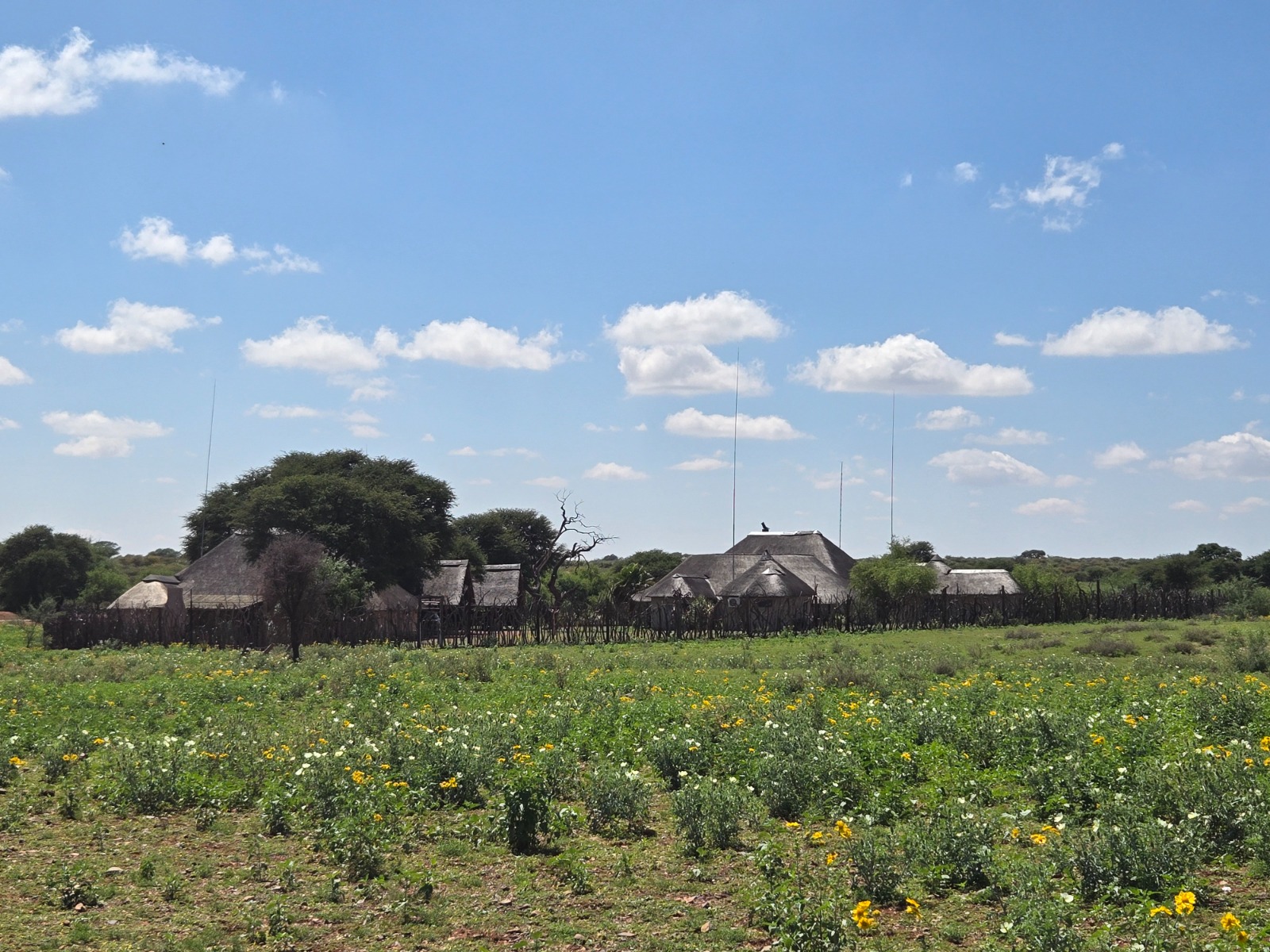 Kalahari Lodge