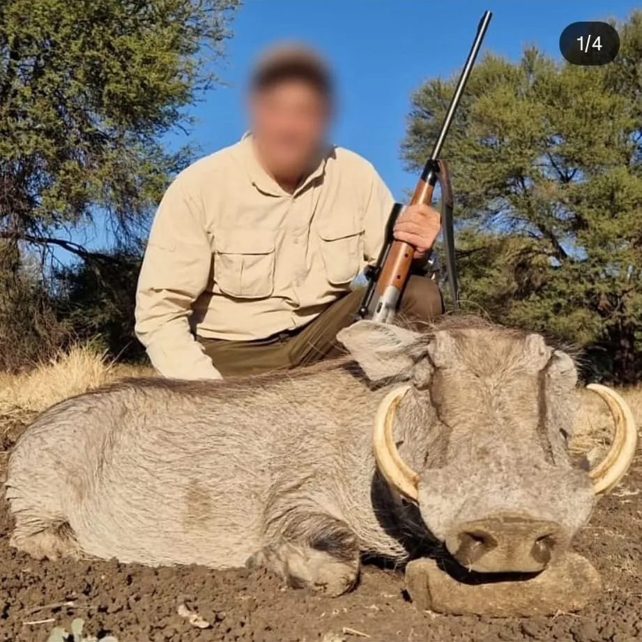 Paquete Avanzado - Imagen 2