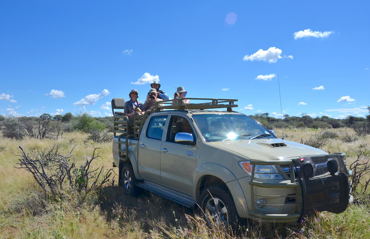 Vehículo de safari en pista de tierra, con el horizonte del veld al fondo