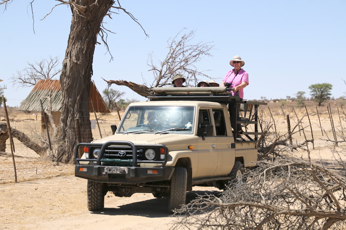Vehículo de safari en una pista de Namibia