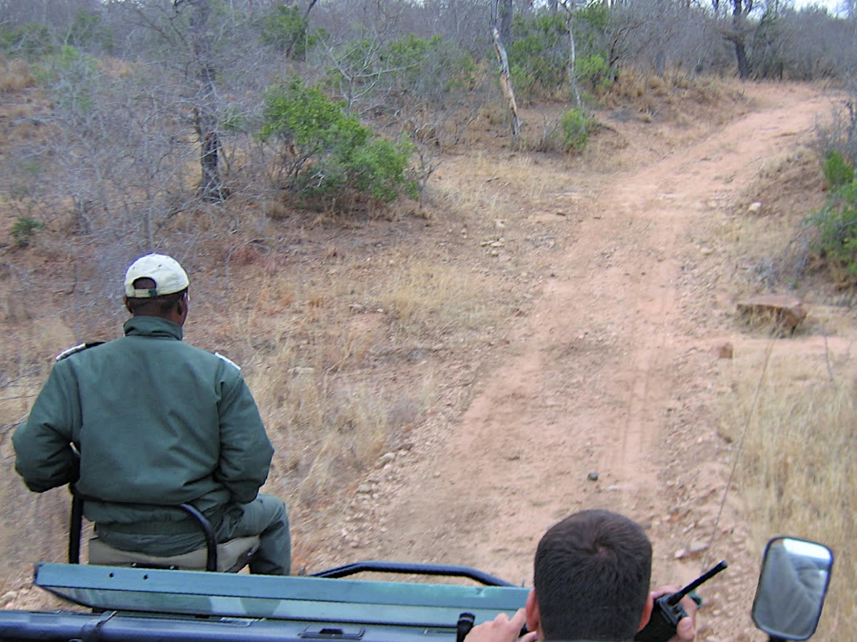 Fotógrafos en un vehículo de safari, observando fauna