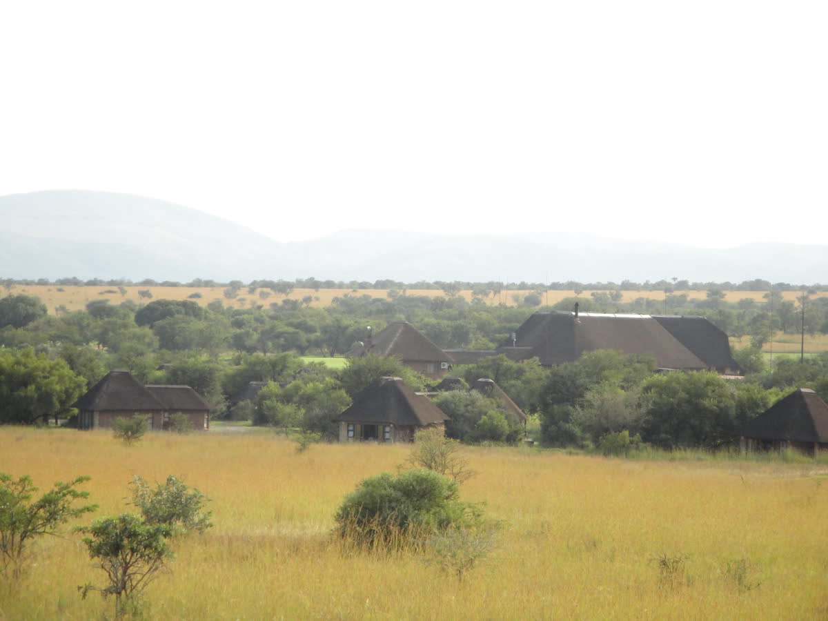Conjunto de lodge en Limpopo, entre el arbolado